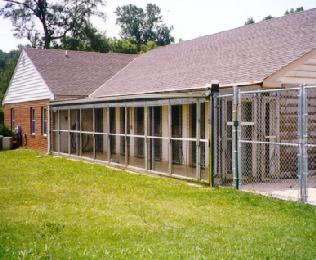 Cages at the Humane Society